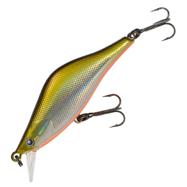 ラクス　５０Ｓ(＃００４　ＬＨテネシーシャッド)